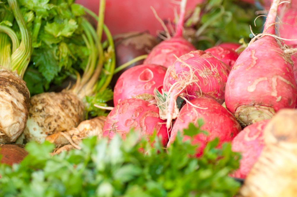 Червена ряпа, целина, пъщарнак